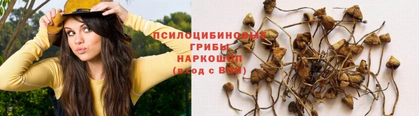 ешки Елабуга