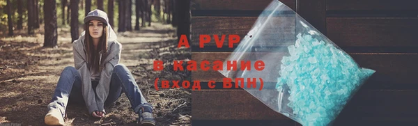 эйфоретик Елизово