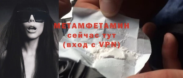 ПСИЛОЦИБИНОВЫЕ ГРИБЫ Дмитриев