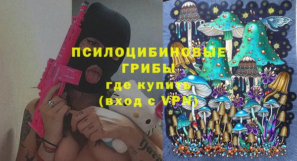 ешки Елабуга