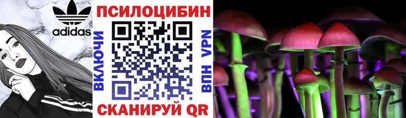 Галлюциногенные грибы Psilocybine cubensis  гидра ссылки  Сольцы  сколько стоит 